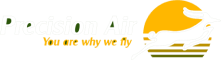 Precision Air